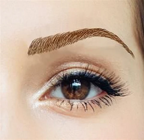 Z Cejas Tatuadas Adhesivas Modelo Claudia Brown