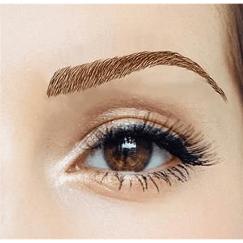 Cejas Tatuadas Adhesivas Modelo Claudia Brown