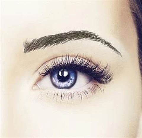 Z Cejas Tatuadas Adhesivas Modelo Cleo black