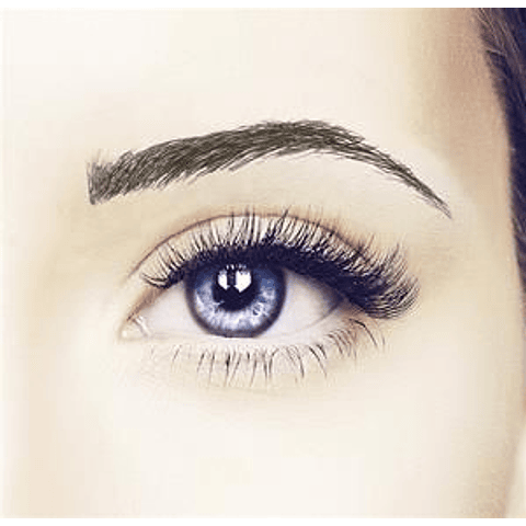 Cejas Tatuadas Adhesivas Modelo Cleo black