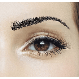 Cejas Tatuadas Adhesivas Modelo Megan Black