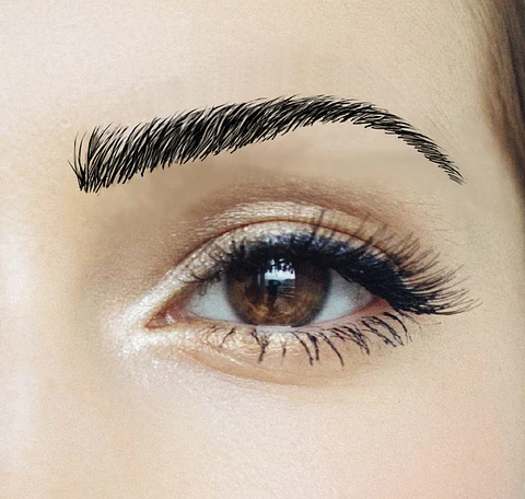 Z Cejas Tatuadas Adhesivas Modelo Megan Black