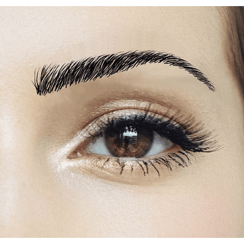 Cejas Tatuadas Adhesivas Modelo Megan Black
