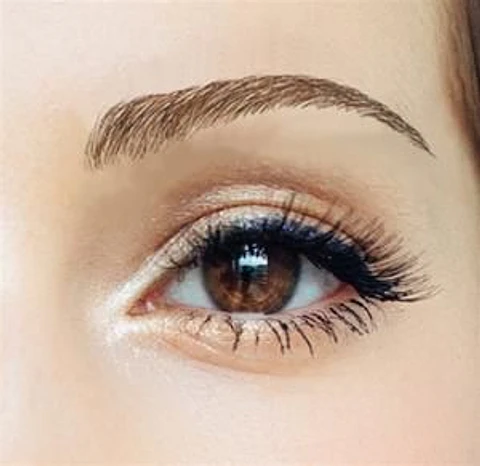 Z Cejas Tatuadas Adhesivas Modelo Nicole Brown