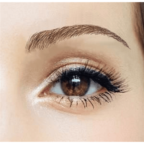 Cejas Tatuadas Adhesivas Modelo Nicole Brown