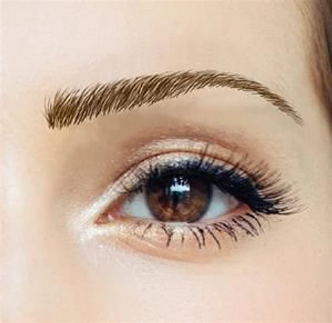 Z Cejas Tatuadas Adhesivas Modelo Megan Dark Brown
