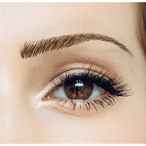 Cejas Tatuadas Adhesivas Modelo Megan Dark Brown