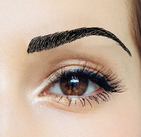 Z Cejas Tatuadas Adhesivas Modelo Claudia Black