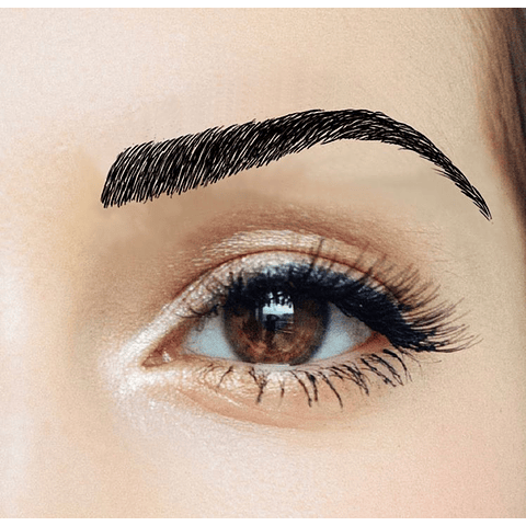 Cejas Tatuadas Adhesivas Modelo Claudia Black