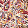 Noya Paisley