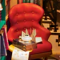 Separador de Libros Bookstore | Book Nook DIY con Luces LED - Miniatura 4