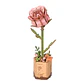 Flor Pink Rose de Madera Armable | Rowood - Miniatura 1