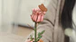 Flor Pink Rose de Madera Armable | Rowood - Miniatura 2