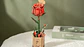 Flor Red Rose de Madera Armable | Rowood - Miniatura 3