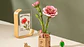 Flor Pink Carnation de Madera Armable | Rowood - Miniatura 2