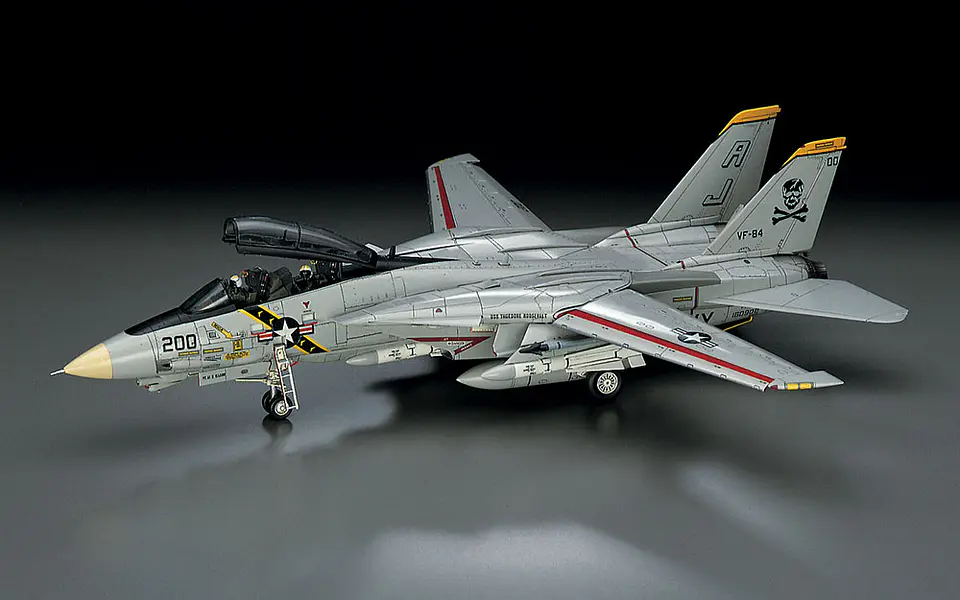 F-14A TOMCAT (ATLANTIC F.S.) 2