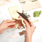 Separador de Libros Falling Sakura | Book Nook DIY con Luces LED - Miniatura 5