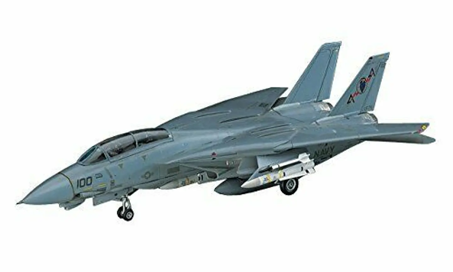 F-14A TOMCAT (LOW VISIBILITY) 1