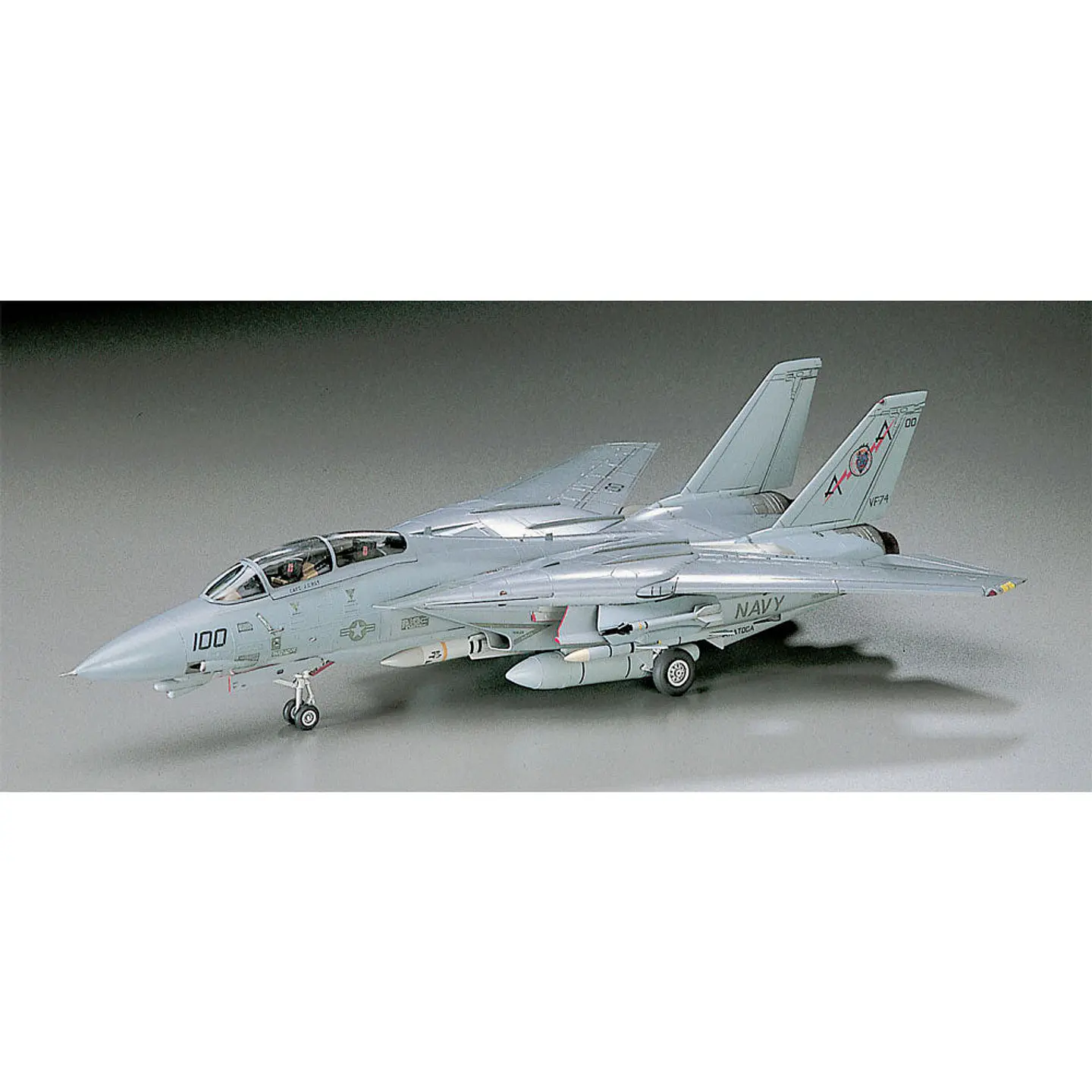 F-14A TOMCAT (LOW VISIBILITY) 2