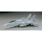 F-14A TOMCAT (LOW VISIBILITY) - Miniatura 2