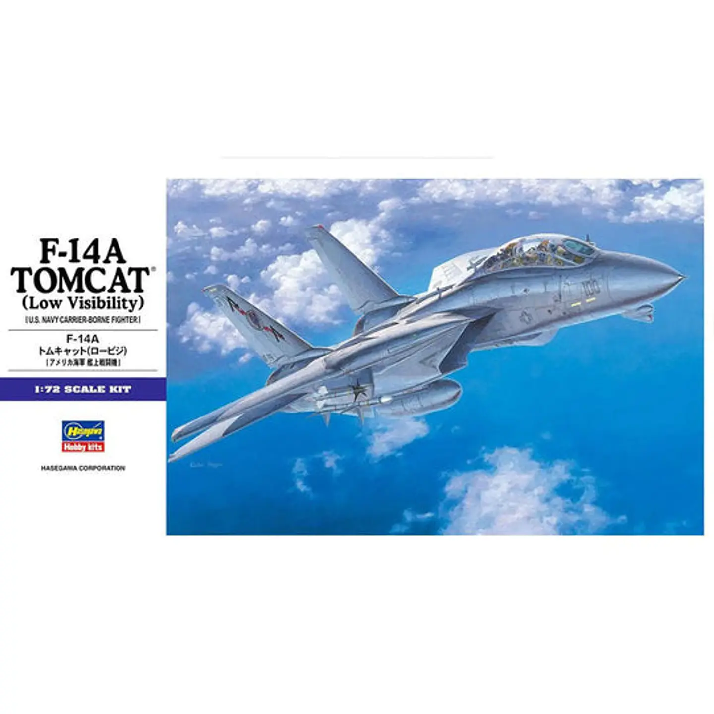 F-14A TOMCAT (LOW VISIBILITY) 3