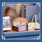 Miniatura Literatura Bookstore - Cutebee - Miniatura 4