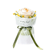 Floral Art - White Camellia - ROKR