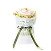 Floral Art - White Camellia - ROKR