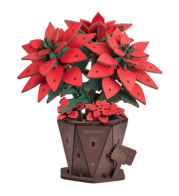 Flor de Pascua Poinsettia  - Rowood