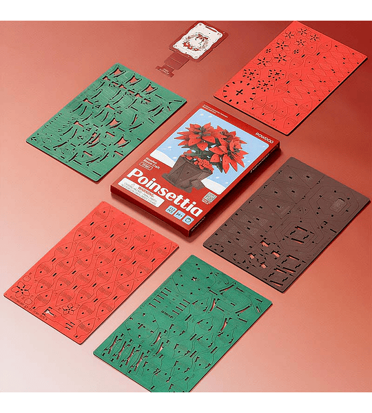 Flor de Pascua Poinsettia  - Rowood