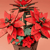 Flor de Pascua Poinsettia  - Rowood