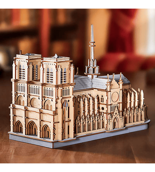 Paris Cathedral - Rowood