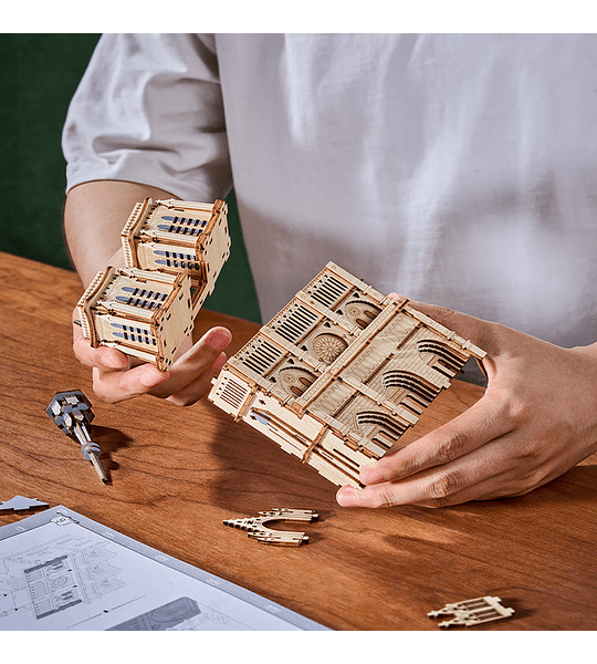 Paris Cathedral - Rowood