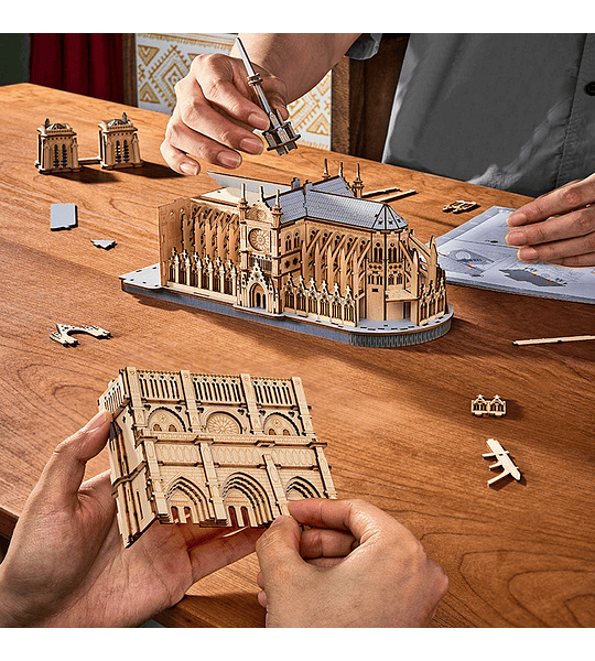 Paris Cathedral - Rowood