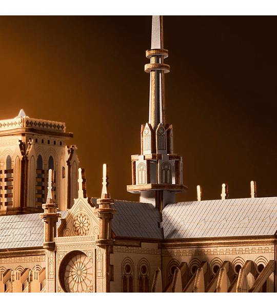 Paris Cathedral - Rowood