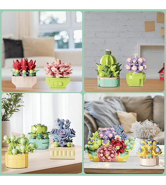 Suculentas 8 en 1 - Bloques de Construcción