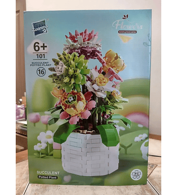 Succulent Potted Plant