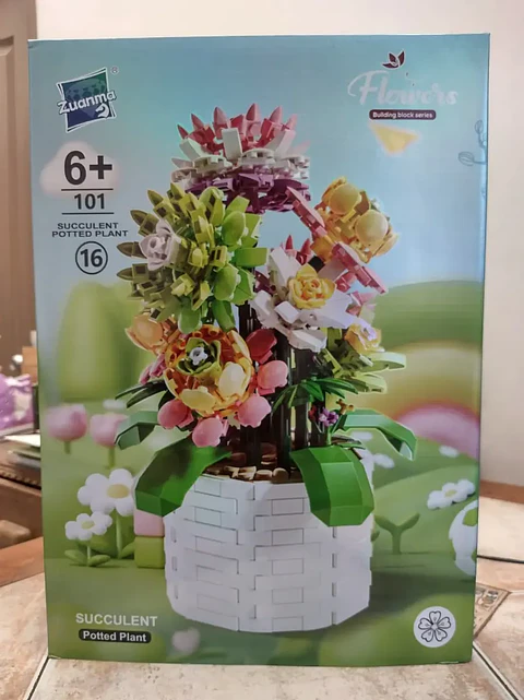 Succulent Potted Plant
