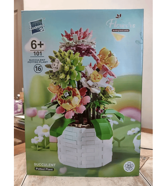 Succulent Potted Plant