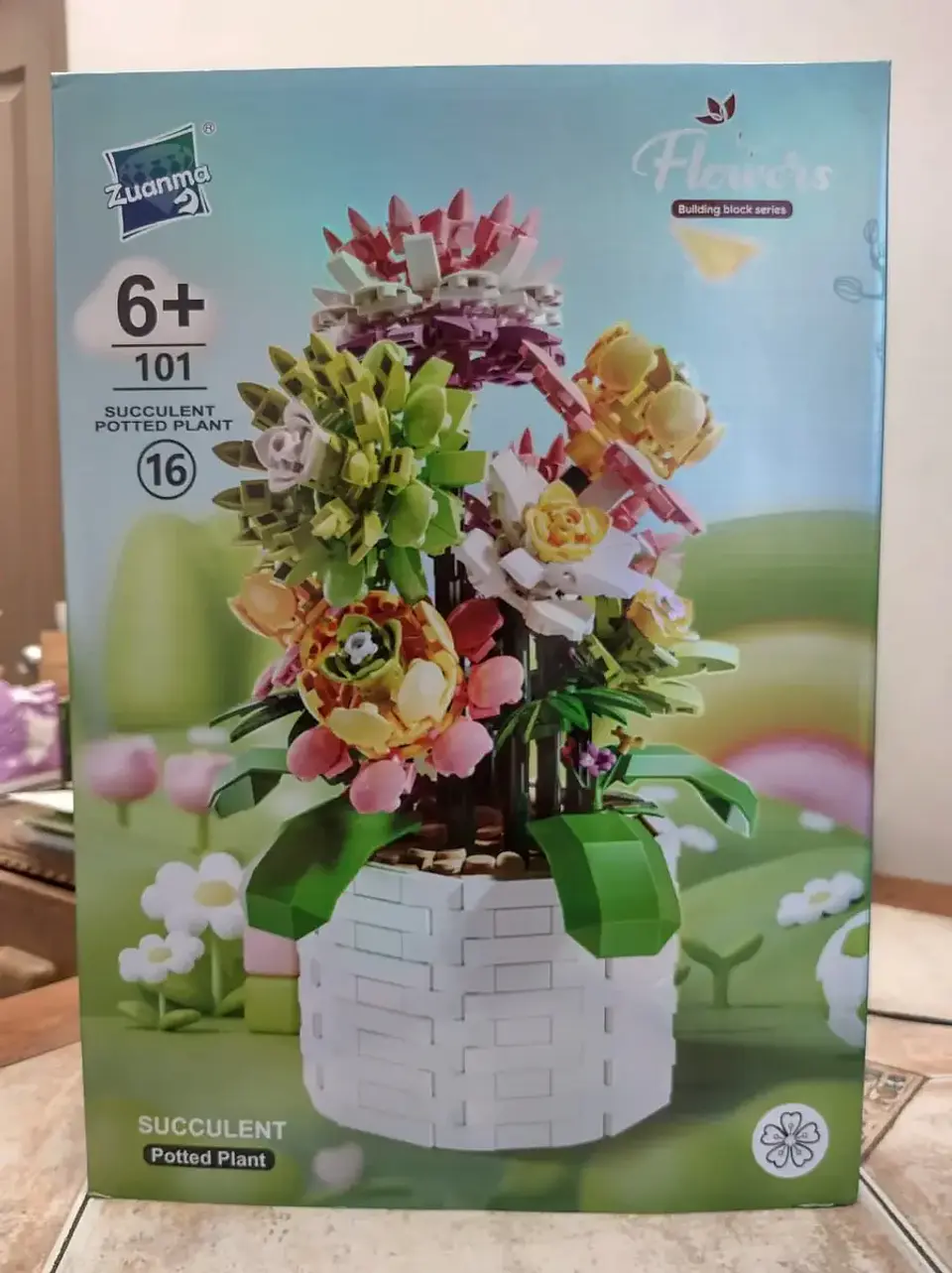 Succulent Potted Plant 1
