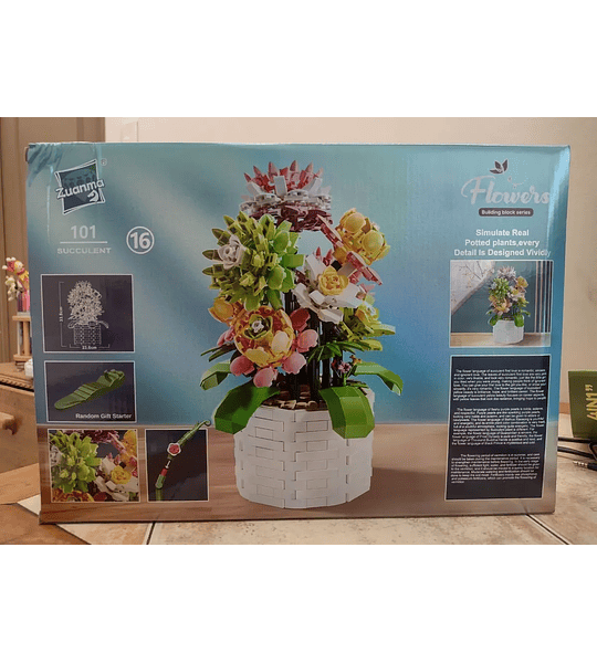 Succulent Potted Plant