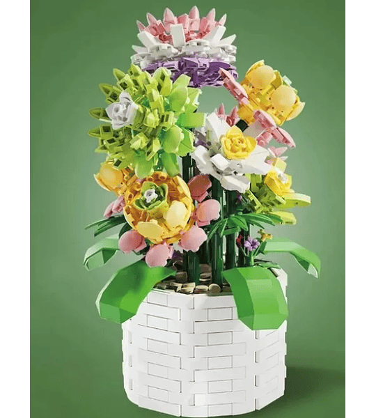 Succulent Potted Plant