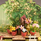 Green Fountain Garden - Mini Store - Rolife - Miniatura 3