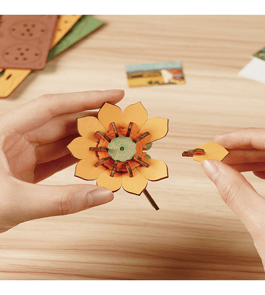 Golden Sunflower - Rowood