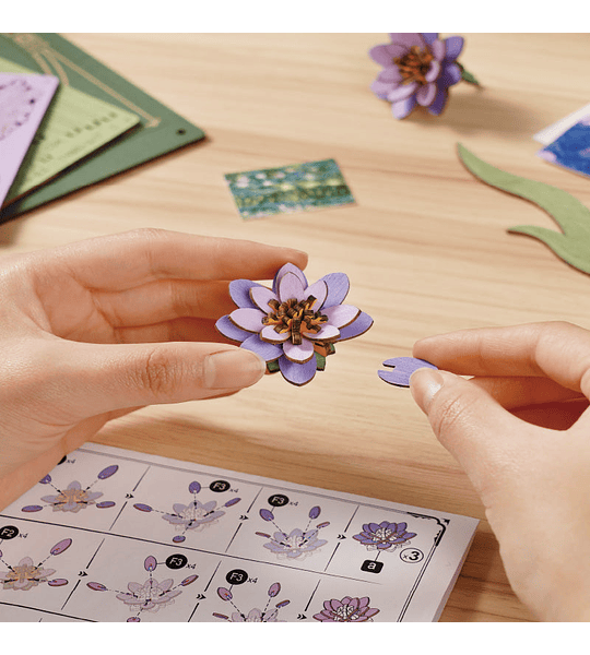 Glittering Water Lily - Rowood