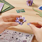 Glittering Water Lily de Madera Armable | Rowood - Miniatura 5