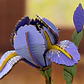 Flor Purple Iris de Madera Armable | Rowood - Miniatura 2