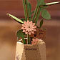 Flor Pink Dahlia de Madera Armable | Rowood - Miniatura 3