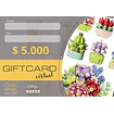 Gift Card Virtual
