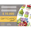 Gift Card Virtual
